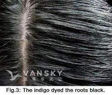 230809140415_Hair-Dyed with indigo-s.jpg